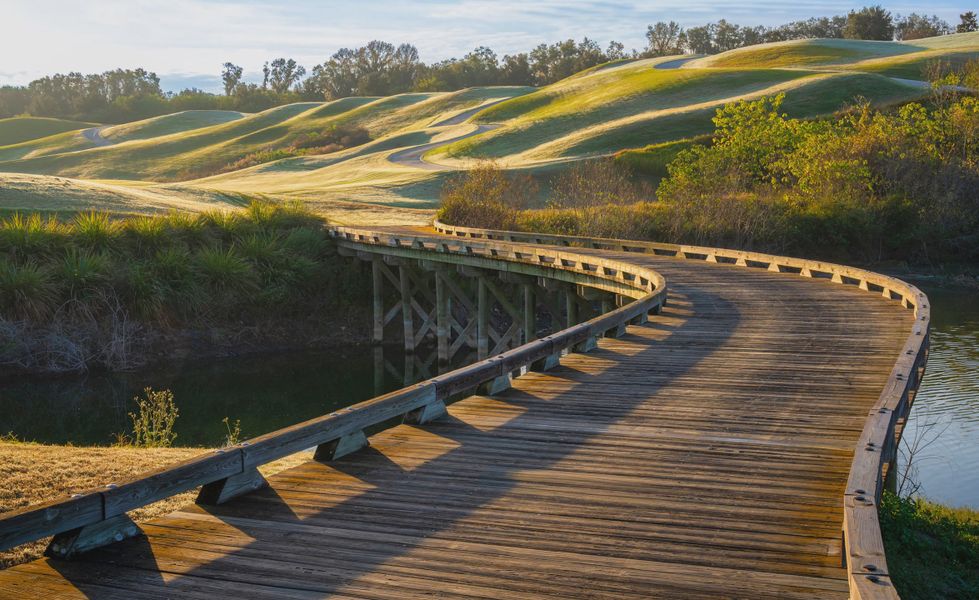 Natural surroundings and green spaces near IronCrest in Ocala, FL (Image 21).