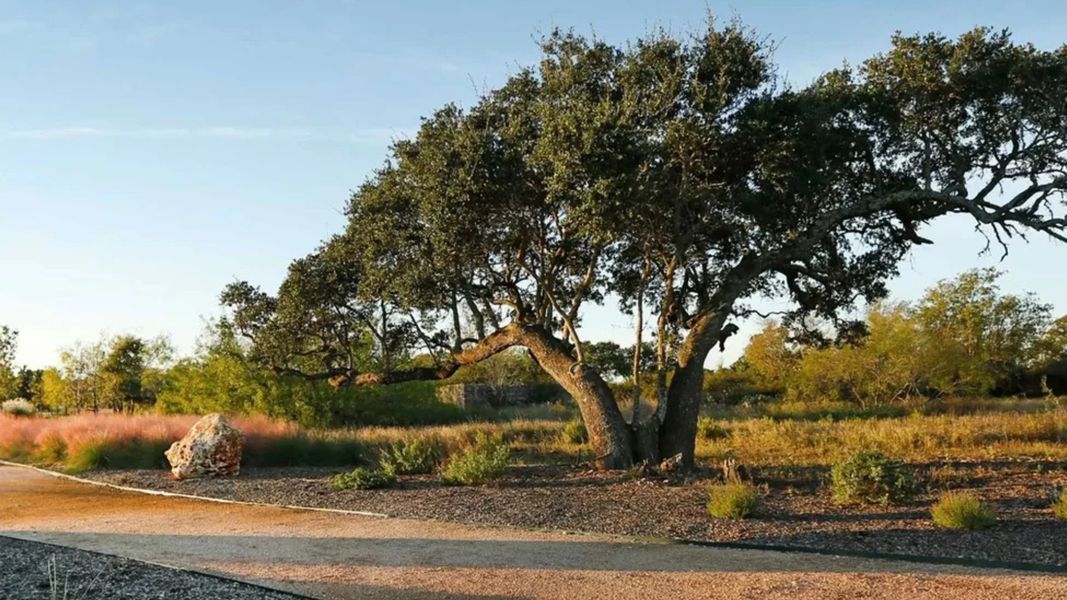 Oaks at San Gabriel Community Photo