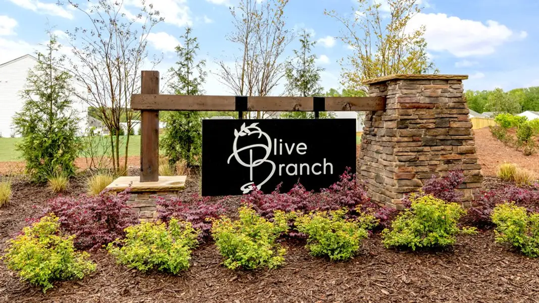 Entrance to the Olive Branch community in Clayton, NC, featuring signage and landscaping (Image 1).