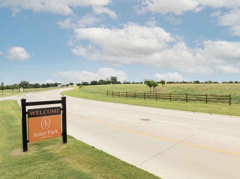 Image 46 of the Aster Park: 40ft. lots community in McKinney, TX.