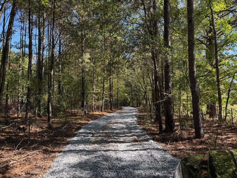 Natural surroundings and green spaces near Williams Mill in Zebulon, GA (Image 3).