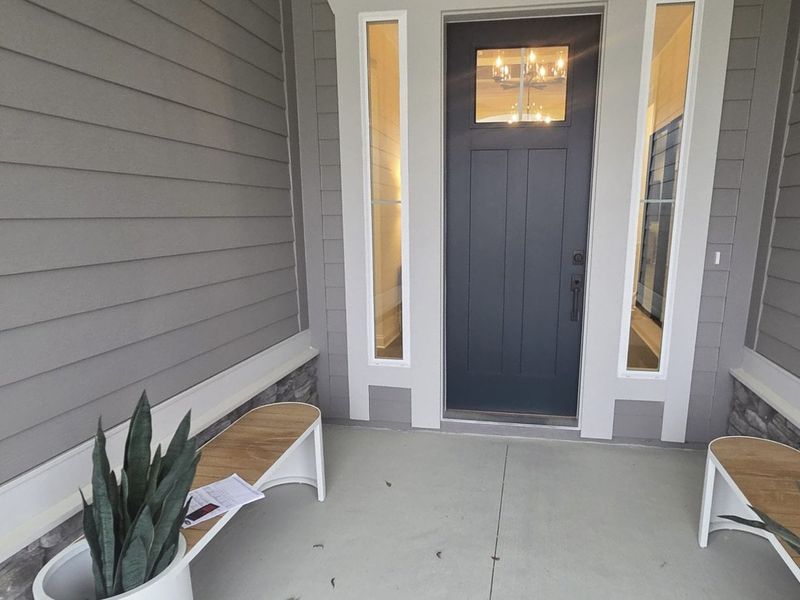 A welcoming entryway with a dark door, sidelights, and modern benches, accented by a potted plant.