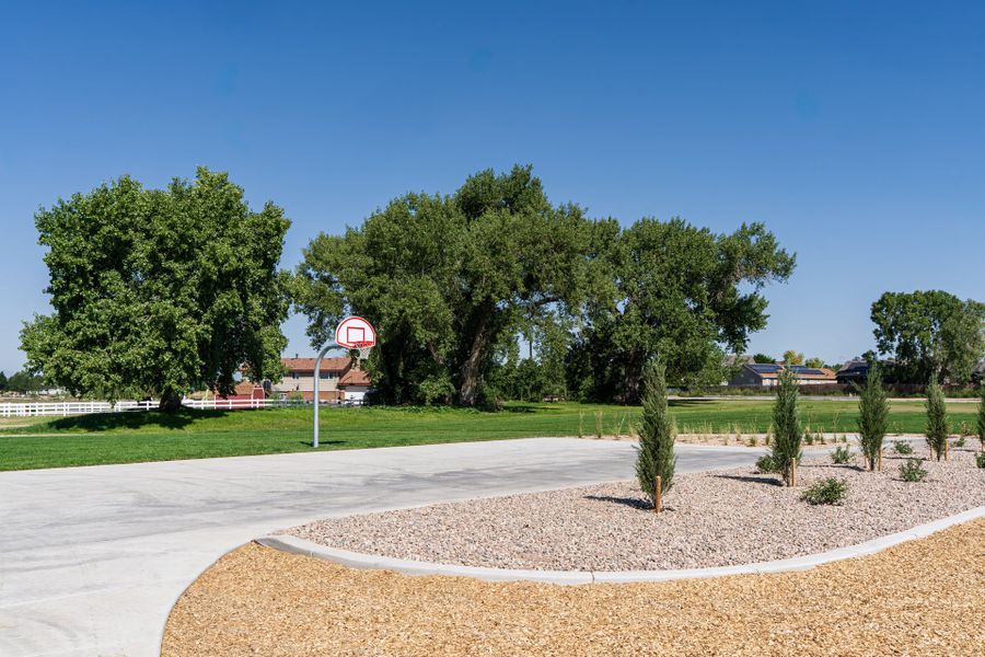 Liberty Draw Park - Basketball Hoop