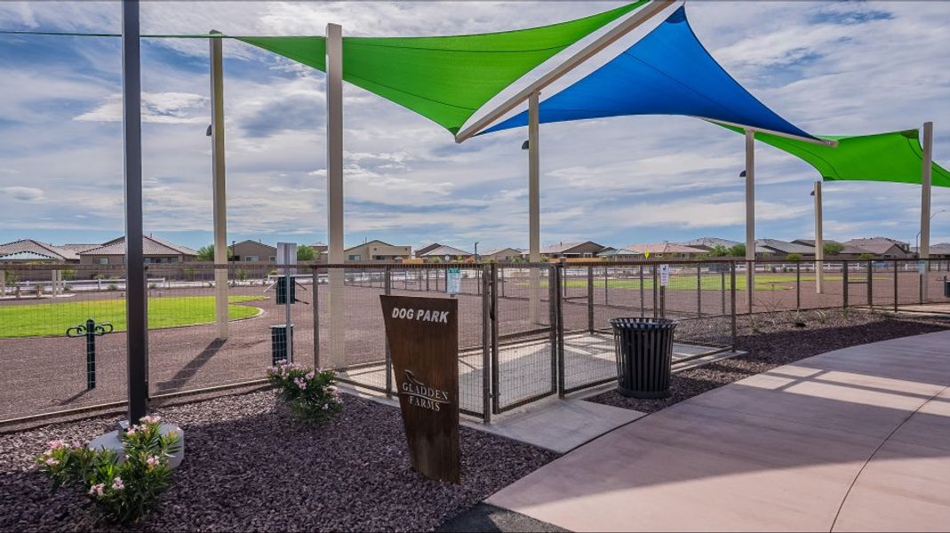 Community Dog Park
