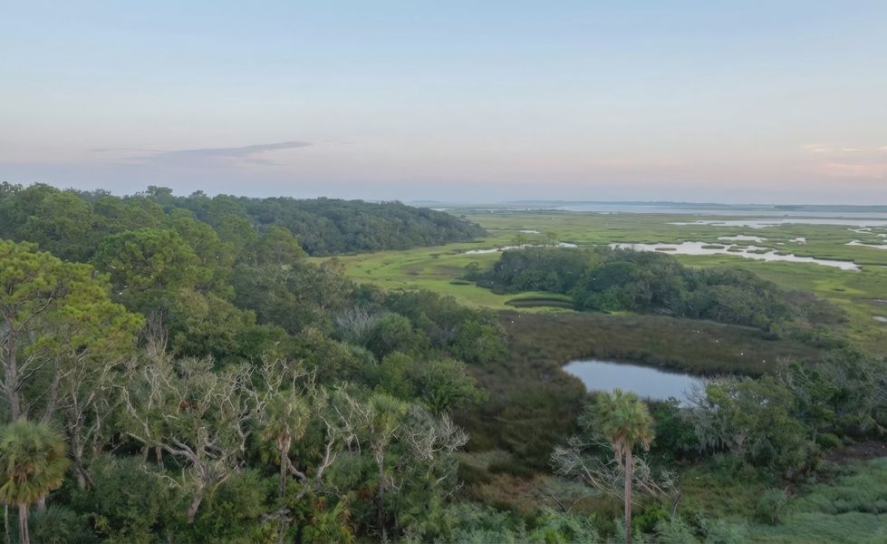 Natural surroundings and green spaces near Madeira at St Augustine in St. Augustine, FL (Image 5).