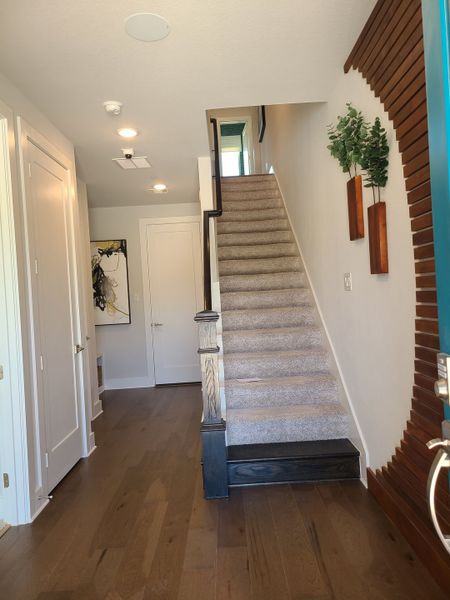 A welcoming foyer with modern decor, wood floors, and a carpeted staircase leading upward.