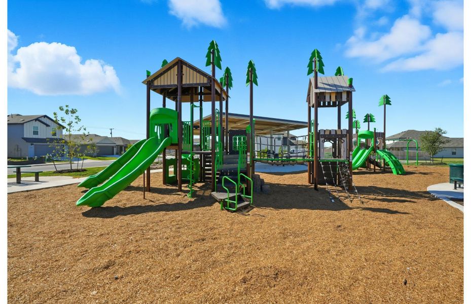 Community Playscape