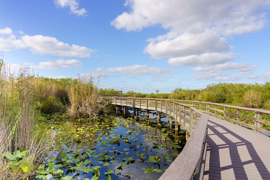 Miami Everglades National Park