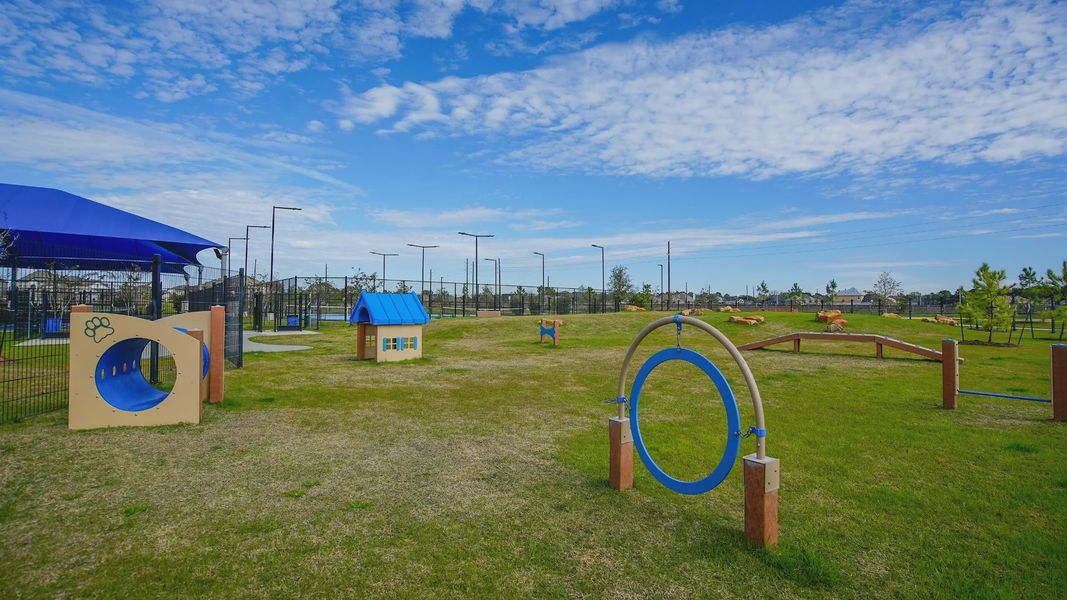 Cypress Green Dog park