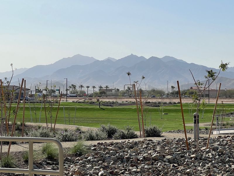 A serene landscape with mountains, greenery, and newly planted trees in Avion: Arbor by Lennar (Goodyear, AZ).