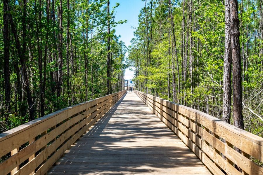 Natural surroundings and green spaces near Coral Cove in Panama City Beach, FL (Image 13).