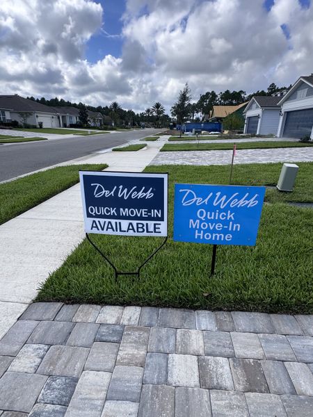 Charming suburban street view with quick move-in homes available in Del Webb Nocatee by Del Webb (Ponte Vedra, FL).
