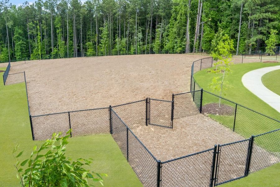 Community dog park