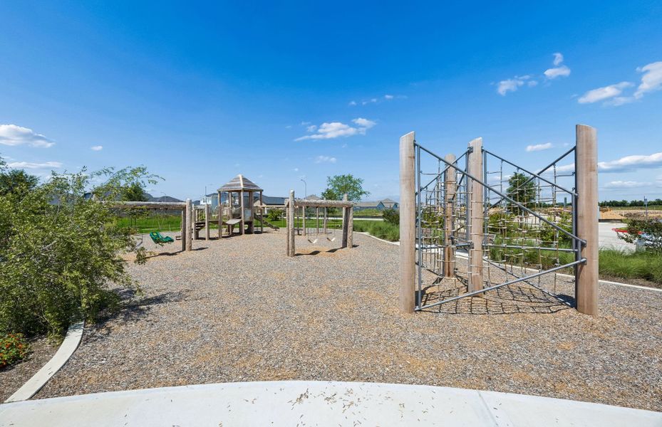 Community Playground