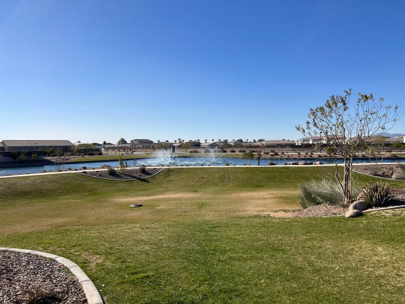 A peaceful lakeside view with manicured lawns at The Palms Collection at The Trails at Tortosa by Century Communities (Maricopa, AZ).
