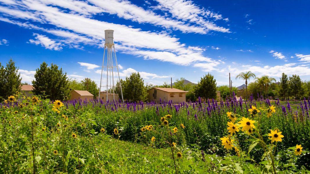 San Tan Valley, AZ Local Attractions