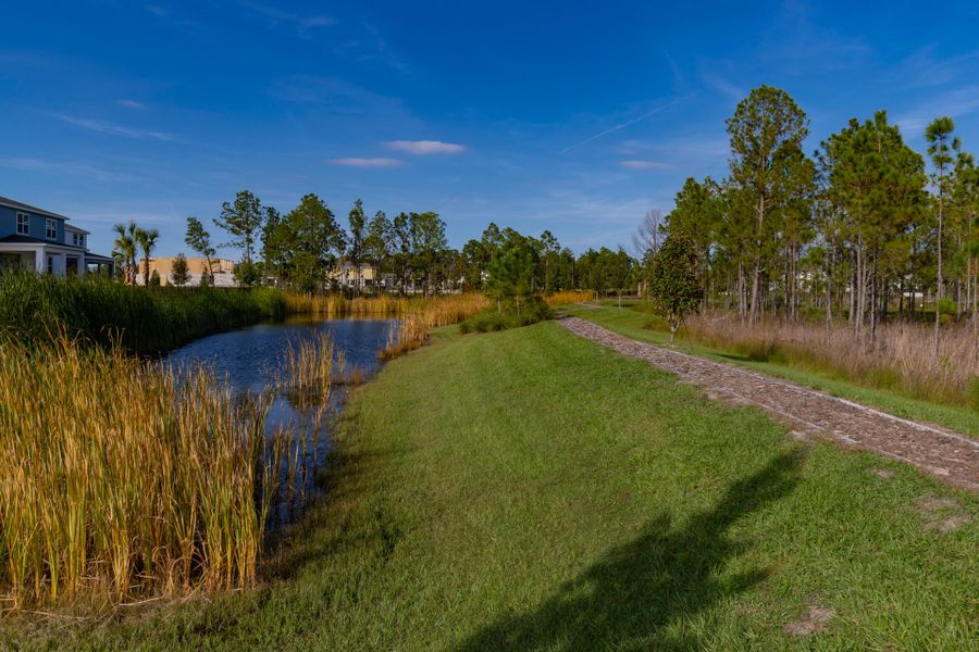 Trinity Gardens in DeLand, FL – New Home Community Surrounded by Nature Trinity Gardens in DeLand, FL – New Home Community Surrounded by Nature