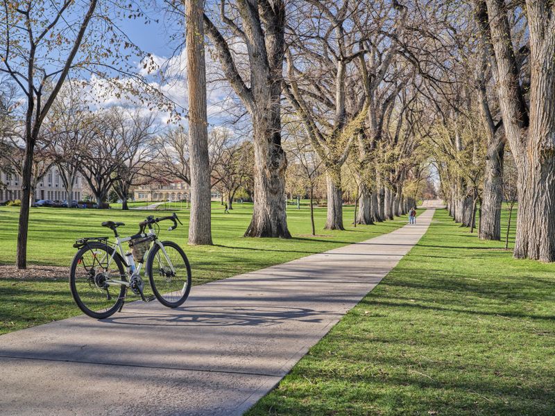 Natural surroundings and green spaces near Northfield at Old Town in Fort Collins, CO (Image 11).