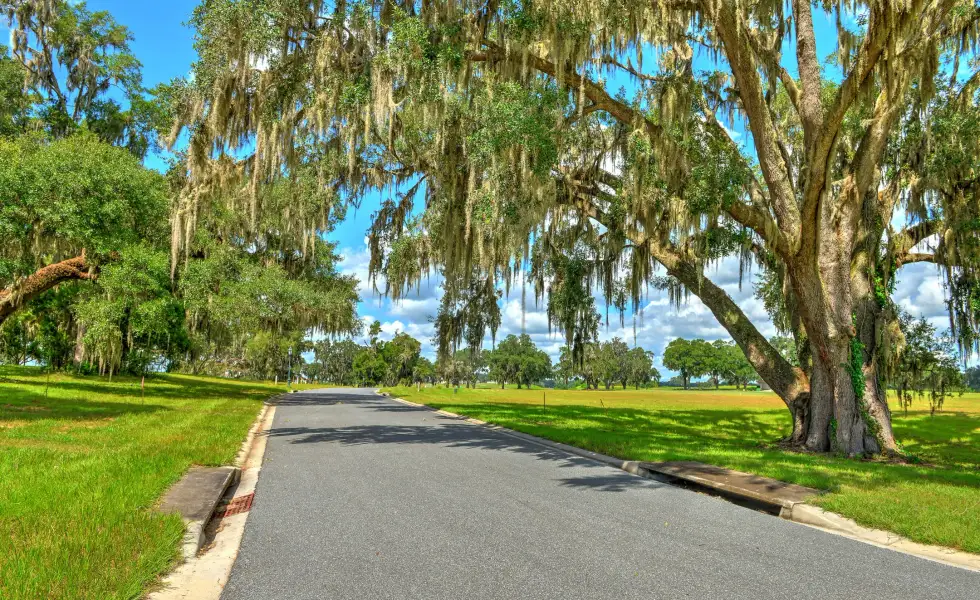 Natural surroundings and green spaces near Home & Homesite Packages in Ocala, FL (Image 20).
