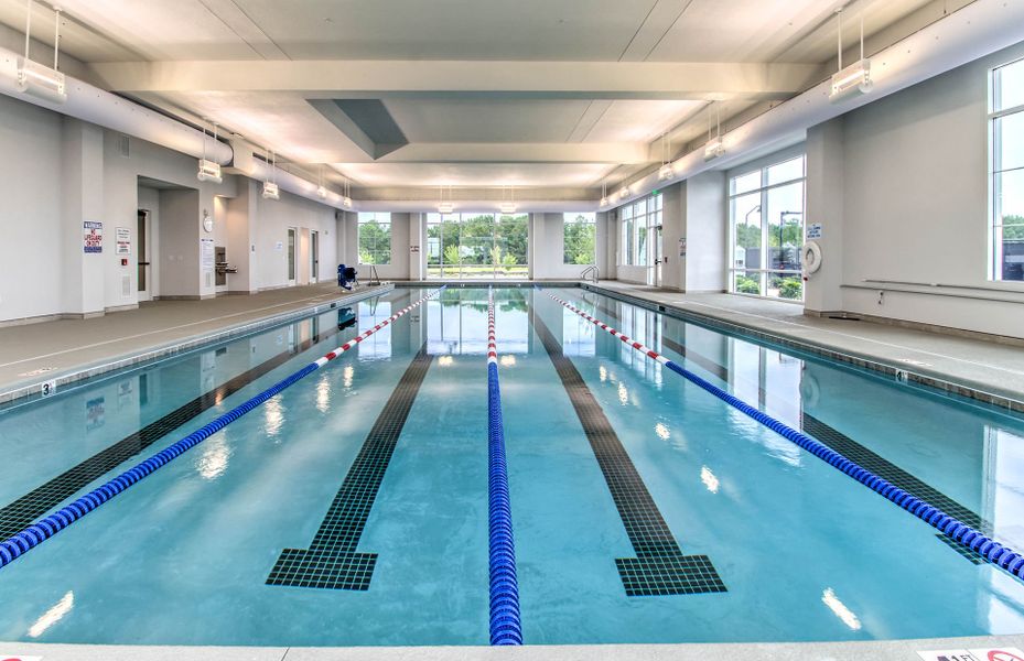 Swim laps in the Indoor Pool