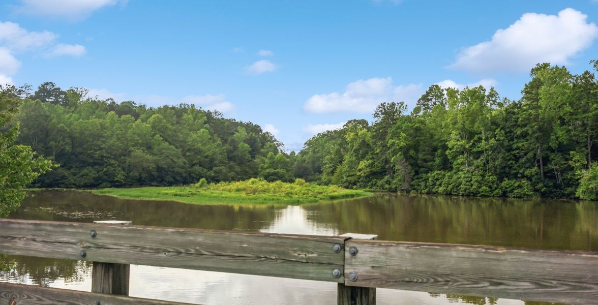 Local Park Local Park