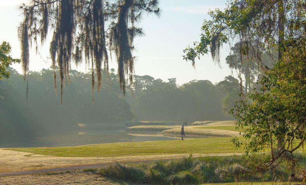 Natural surroundings and green spaces near New Riverside Village in Bluffton, SC (Image 11).