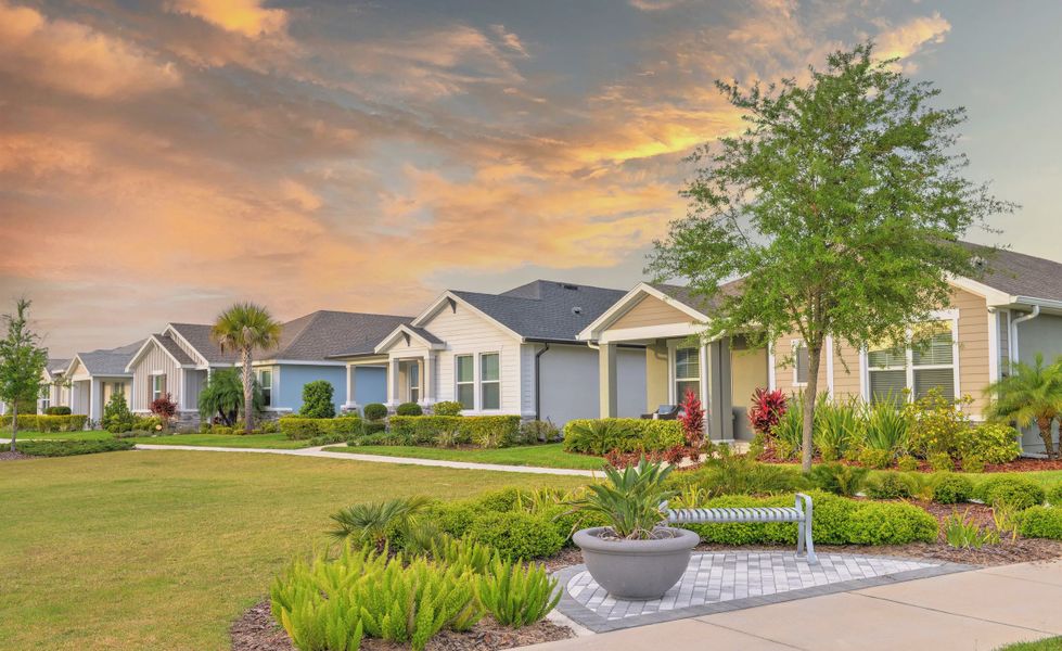 Front exterior of a home in the Persimmon Park community, located in Wesley Chapel, FL (Image 11). Front exterior of a home in the Persimmon Park community, located in Wesley Chapel, FL (Image 11).