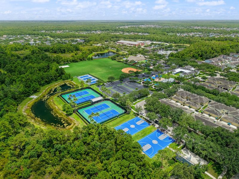 Tanja King Park Pickleball & Basketball Courts Tanja King Park Pickleball & Basketball Courts
