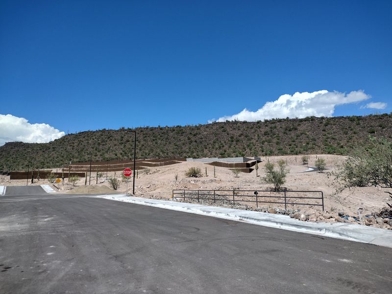 Scenic desert landscape at The Villas at Mystic by Brightland Homes in Peoria, AZ, with a clear blue sky backdrop.