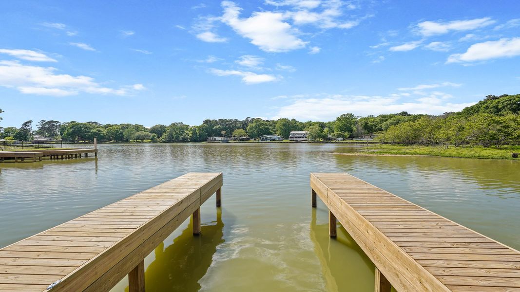Natural surroundings and green spaces near Lake Conroe Cove in Willis, TX (Image 31).