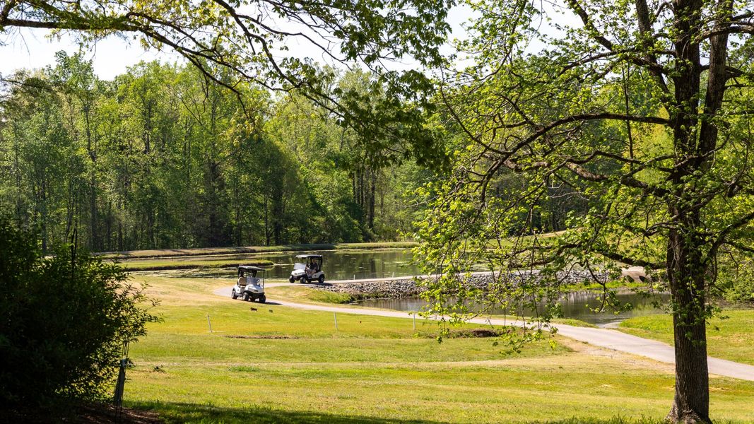 Natural surroundings and green spaces near The Fairways at Eden in Eden, NC (Image 7). Natural surroundings and green spaces near The Fairways at Eden in Eden, NC (Image 7).