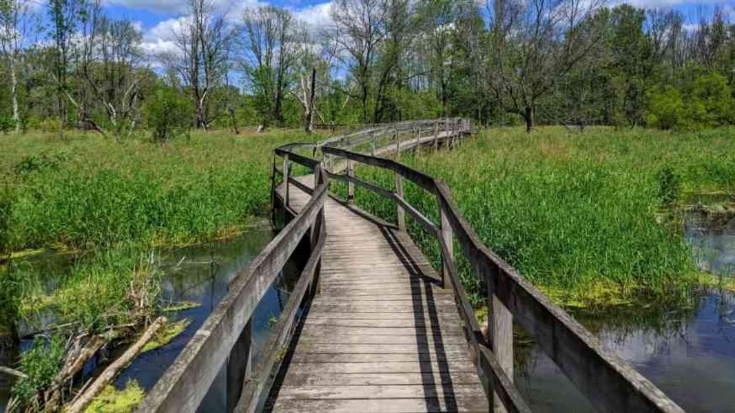 Natural surroundings and green spaces near Birdsong Estates in Orchard Park, NY (Image 31).