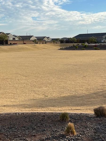 Spacious open landscape with charming homes in Canyon Views by Starlight Homes (Litchfield Park, AZ).