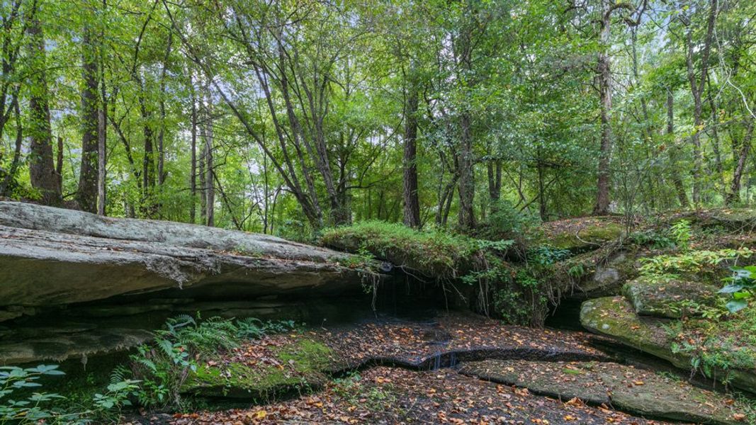 Natural surroundings and green spaces near Kalas Falls in Wake Forest, NC (Image 49). Natural surroundings and green spaces near Kalas Falls in Wake Forest, NC (Image 49).