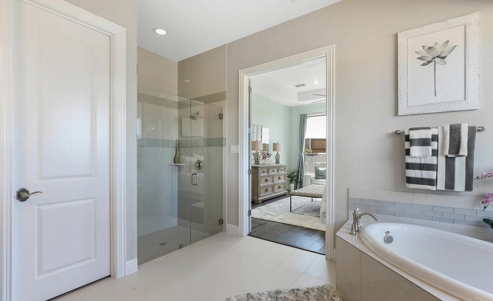 Image 9 of the Wellington community in Haslet, TX.