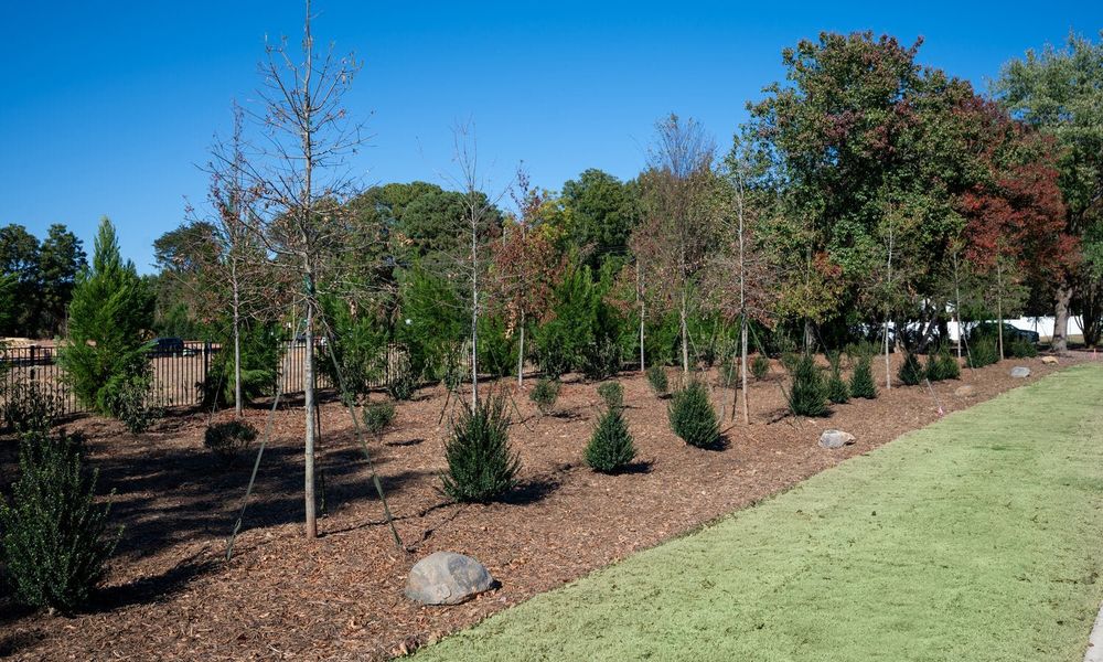 Natural surroundings and green spaces near Enclave at McKee in Charlotte, NC (Image 9).