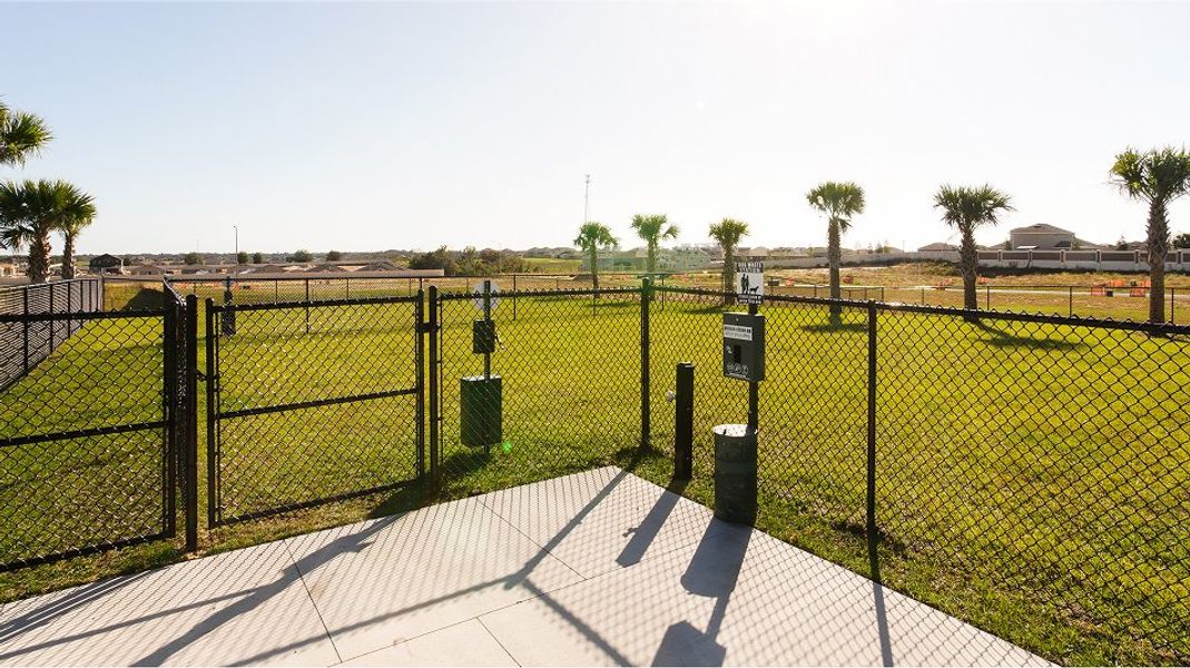 Providence Amenity Dog Park 7 21 25 Providence Amenity Dog Park 7 21 25