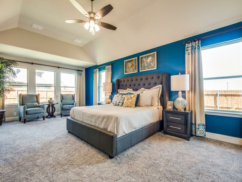 Image 9 of the Thomas Trail community in Midlothian, TX.