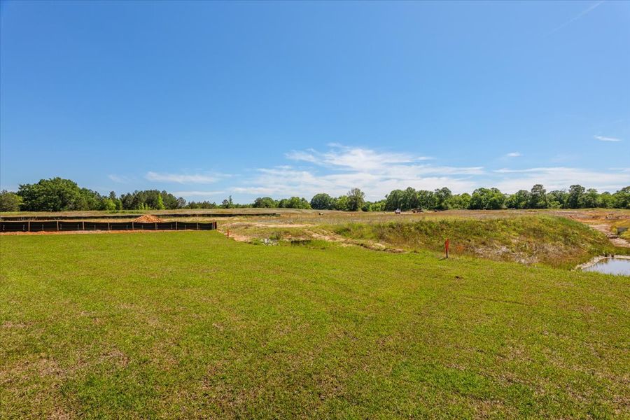 Natural surroundings and green spaces near Camellia Park in Thomson, GA (Image 104).