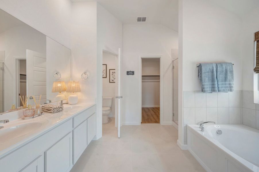 Owner's Bathroom