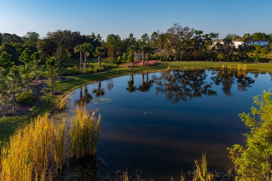 Trinity Gardens in DeLand, FL – New Home Community Surrounded by Nature Trinity Gardens in DeLand, FL – New Home Community Surrounded by Nature