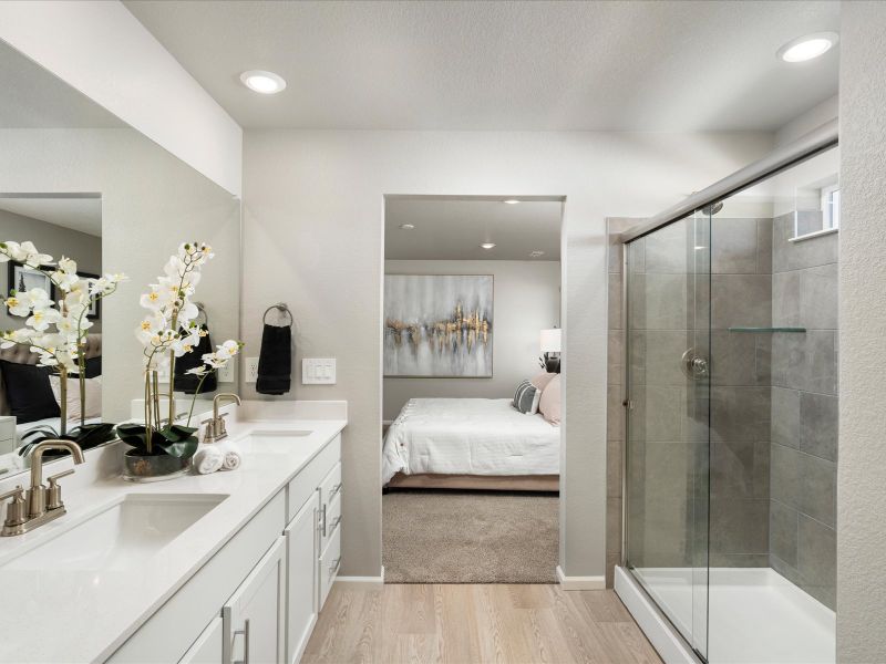 Furnished interior in a model home at Hidden Valley Farm in Severance (Image 10).