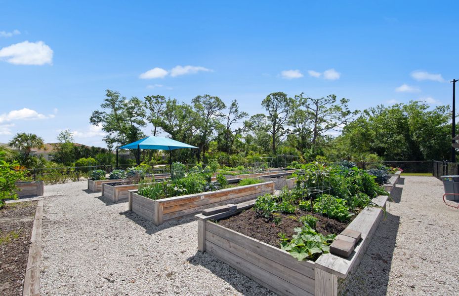 Community Garden