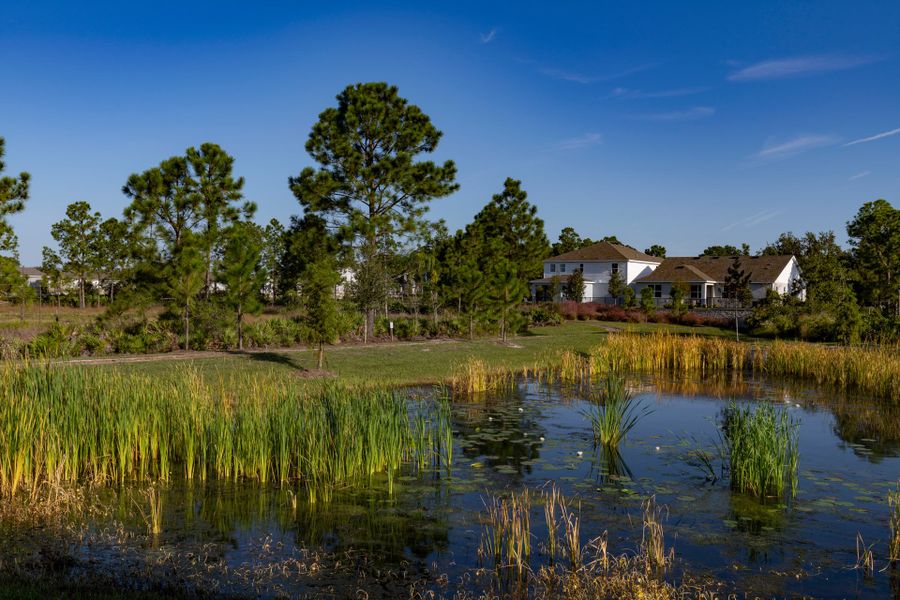 Trinity Gardens in DeLand, FL – New Home Community Surrounded by Nature Trinity Gardens in DeLand, FL – New Home Community Surrounded by Nature