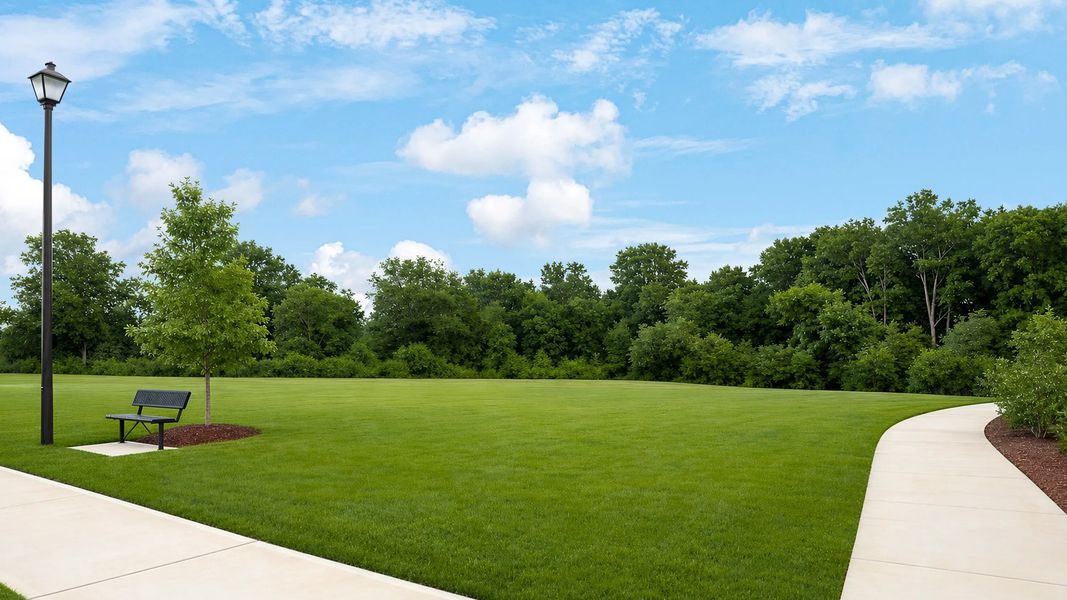 Trail surrounded by greenery