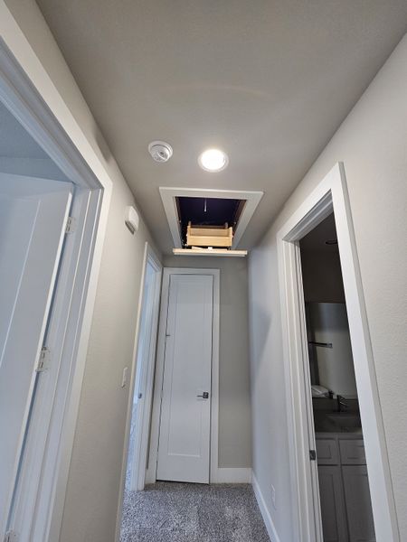 A compact hallway with an attic access ladder, white doors, and soft carpeting.