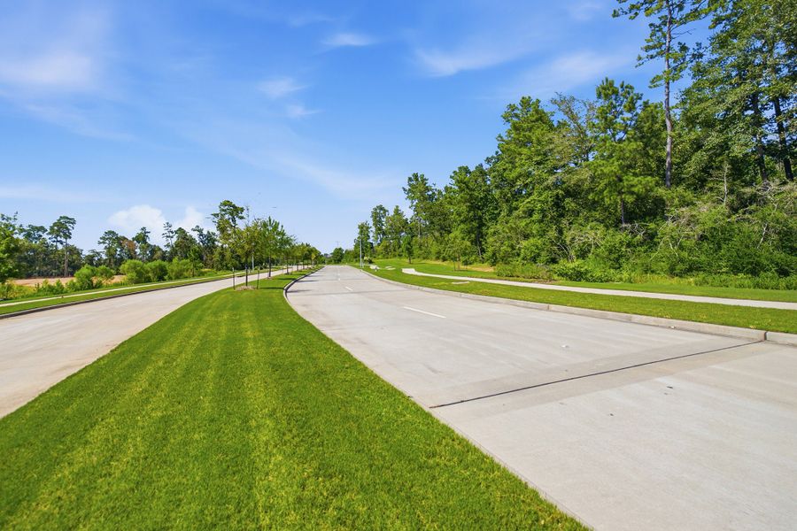 Natural surroundings and green spaces near The Pines at Seven Coves in Willis, TX (Image 59).
