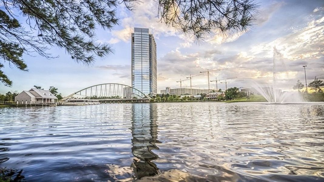 Image 10 of the The Woodlands, The VUE at East Shore - Darling community in Walnut Springs, TX.