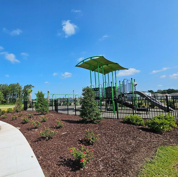 Community amenity available to residents of Ridgefield in Conway (Image 29).