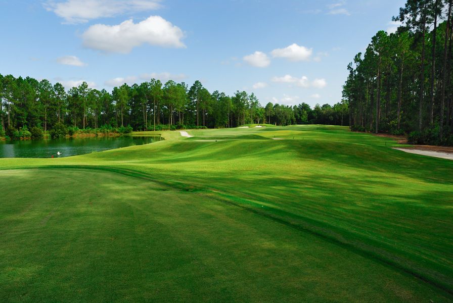 Natural surroundings and green spaces near The District at Oakleaf - The Commons in Middleburg, FL (Image 4).